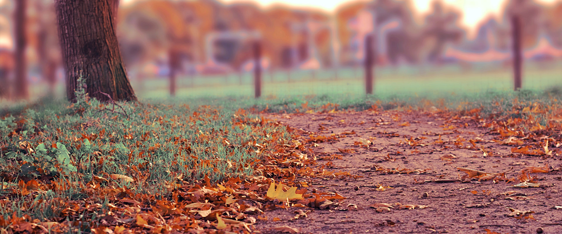 【问题修复方法】完整解决的DDOS在线攻击