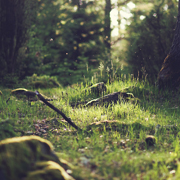 一手渠道的DDOS在线压力测试