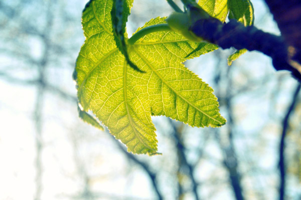 操作简单易用的DDOS网页端平台